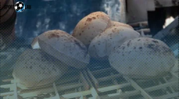 وزير التموين يعلن استمرار سعر رغيف الخبز المدعم 20 قرشًا بعد رفع سعر السولار في نوفمبر 2025